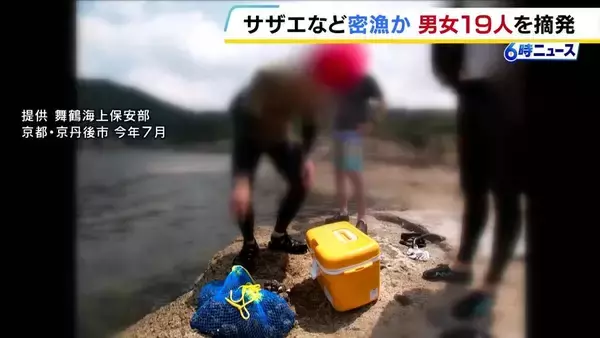 【密漁摘発】「ちょっととってただけで…」袋の中には大量のサザエ　男女19人に「密漁の疑い」大半は京都府外から訪れたレジャー客　舞鶴海上保安部