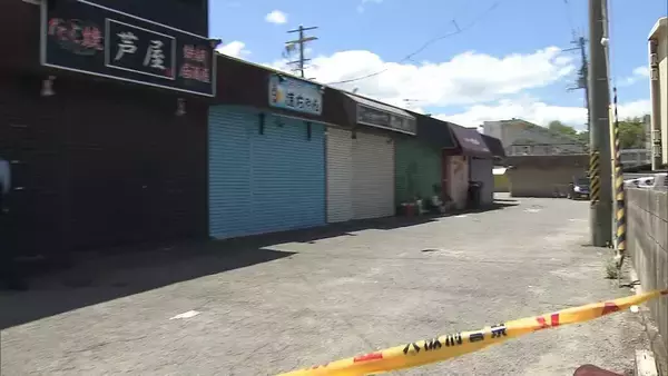 「「正当な判断だった」大阪で“刃物男”に警察官が発砲…その正当性は？4つの“拳銃ルール”もとに解説　テーザー銃など「殺傷しないが威力ある武器」の導入提言も【元千葉県警幹部の見解】」の画像