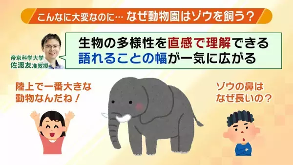 「【8年ぶり】天王寺動物園にゾウが来た！“バスケコート16面分”総工費44.6億円の『ゾウ舎』を福島アナが取材…３つのヒミツに迫る！一般公開前に会いに行ってみた！【解説】」の画像