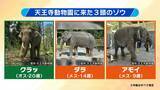 「【8年ぶり】天王寺動物園にゾウが来た！“バスケコート16面分”総工費44.6億円の『ゾウ舎』を福島アナが取材…３つのヒミツに迫る！一般公開前に会いに行ってみた！【解説】」の画像2
