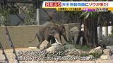 「【8年ぶり】天王寺動物園にゾウが来た！“バスケコート16面分”総工費44.6億円の『ゾウ舎』を福島アナが取材…３つのヒミツに迫る！一般公開前に会いに行ってみた！【解説】」の画像3