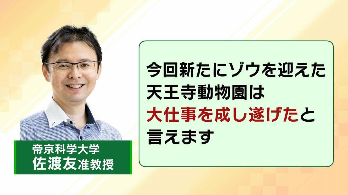 【8年ぶり】天王寺動物園にゾウが来た！“バスケコート16面分”総工費44.6億円の『ゾウ舎』を福島アナが取材…３つのヒミツに迫る！一般公開前に会いに行ってみた！【解説】