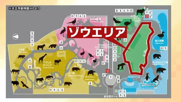 「【8年ぶり】天王寺動物園にゾウが来た！“バスケコート16面分”総工費44.6億円の『ゾウ舎』を福島アナが取材…３つのヒミツに迫る！一般公開前に会いに行ってみた！【解説】」の画像