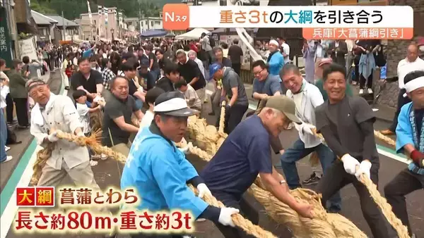 重さ３ｔの大綱を引き合う「大菖蒲綱引き」　約７００年続く『湯村温泉祭り』の名物行事　兵庫・新温泉町