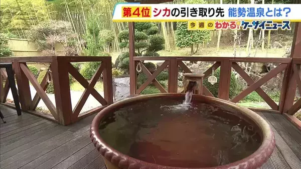 シカ引き取りで一躍話題に！「能勢温泉」とは？　海・山の幸豊かな会席料理や源泉かけ流し温泉も　シカの一般公開は「今後検討」