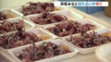 “日本海の春の味覚”ホタルイカを満喫するイベント　しゃぶしゃぶ・軍艦寿司など堪能「最高」
