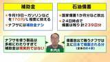「【ガソリンだけじゃない】プラスチックなどの原料“ナフサ不足”　専門家「数週間のうちに価格が上がってくる可能性」　私たちができることは「“量の確保”ではなく“ムダの削減”」」の画像5
