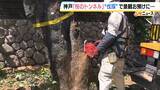「長年親しまれた「桜のトンネル」でソメイヨシノの老木の伐採始まる　調査で“危険な状況にある”と判明　元の景観に戻るには10年以上かかる見込み　神戸・灘区」の画像5