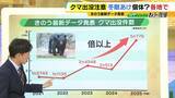 「関西のクマの主食はドングリじゃない！？一部地域では秋に『液果類』を大量採食　時に襲われそうになりながら…「フン収集」調査で判明の新事実　出没予測の精度向上につながるか　これからのクマ対策は？【解説】」の画像1