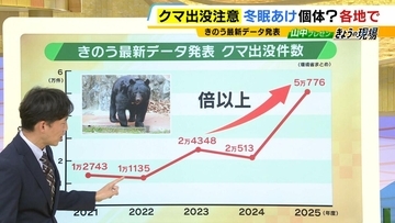 関西のクマの主食はドングリじゃない！？一部地域では秋に『液果類』を大量採食　時に襲われそうになりながら…「フン収集」調査で判明の新事実　出没予測の精度向上につながるか　これからのクマ対策は？【解説】
