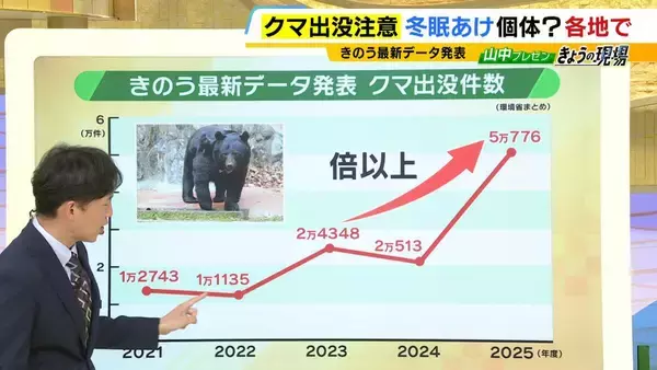関西のクマの主食はドングリじゃない！？一部地域では秋に『液果類』を大量採食　時に襲われそうになりながら…「フン収集」調査で判明の新事実　出没予測の精度向上につながるか　これからのクマ対策は？【解説】