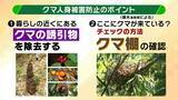 「関西のクマの主食はドングリじゃない！？一部地域では秋に『液果類』を大量採食　時に襲われそうになりながら…「フン収集」調査で判明の新事実　出没予測の精度向上につながるか　これからのクマ対策は？【解説】」の画像10