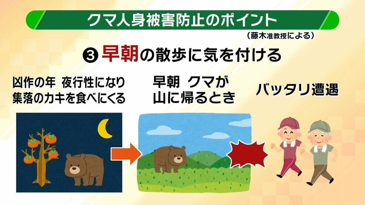 関西のクマの主食はドングリじゃない！？一部地域では秋に『液果類』を大量採食　時に襲われそうになりながら…「フン収集」調査で判明の新事実　出没予測の精度向上につながるか　これからのクマ対策は？【解説】