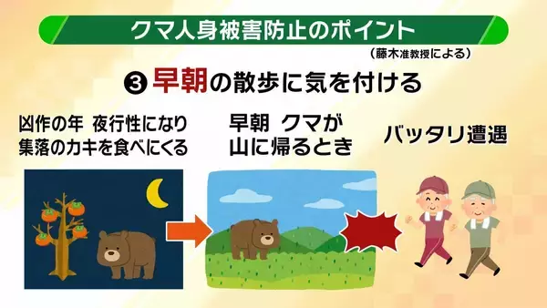 「関西のクマの主食はドングリじゃない！？一部地域では秋に『液果類』を大量採食　時に襲われそうになりながら…「フン収集」調査で判明の新事実　出没予測の精度向上につながるか　これからのクマ対策は？【解説】」の画像