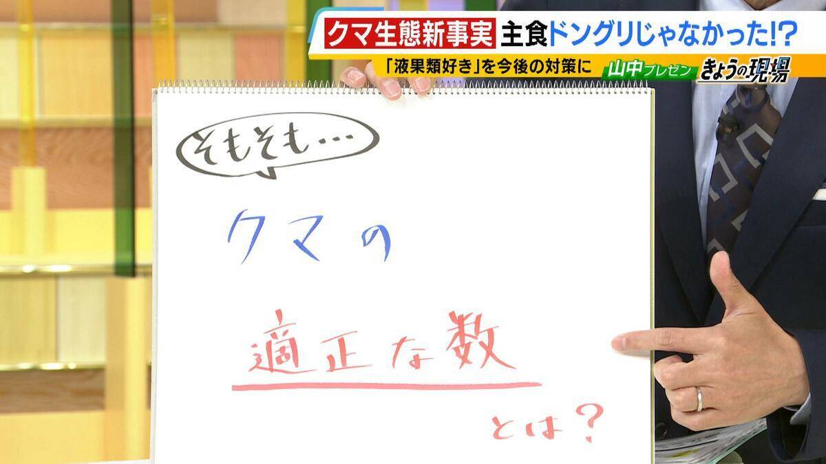 関西のクマの主食はドングリじゃない！？一部地域では秋に『液果類』を大量採食　時に襲われそうになりながら…「フン収集」調査で判明の新事実　出没予測の精度向上につながるか　これからのクマ対策は？【解説】