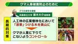 「関西のクマの主食はドングリじゃない！？一部地域では秋に『液果類』を大量採食　時に襲われそうになりながら…「フン収集」調査で判明の新事実　出没予測の精度向上につながるか　これからのクマ対策は？【解説】」の画像13