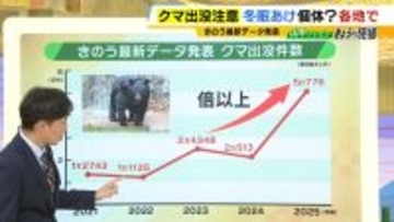 関西のクマの主食はドングリじゃない！？一部地域では秋に『液果類』を大量採食　時に襲われそうになりながら…「フン収集」調査で判明の新事実　出没予測の精度向上につながるか　これからのクマ対策は？【解説】