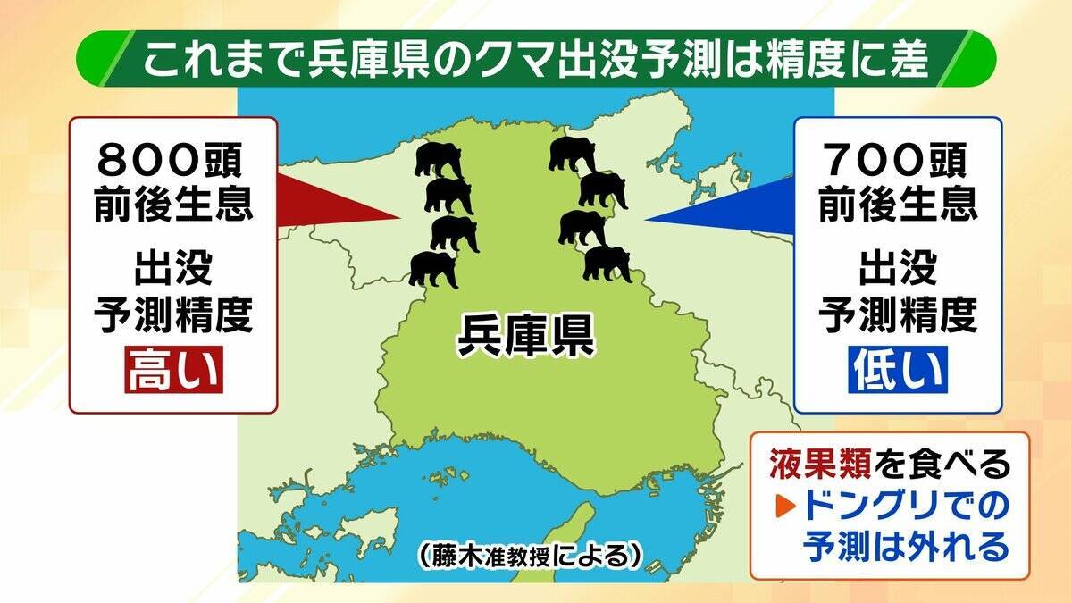 関西のクマの主食はドングリじゃない！？一部地域では秋に『液果類』を大量採食　時に襲われそうになりながら…「フン収集」調査で判明の新事実　出没予測の精度向上につながるか　これからのクマ対策は？【解説】