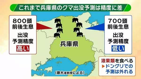 「関西のクマの主食はドングリじゃない！？一部地域では秋に『液果類』を大量採食　時に襲われそうになりながら…「フン収集」調査で判明の新事実　出没予測の精度向上につながるか　これからのクマ対策は？【解説】」の画像