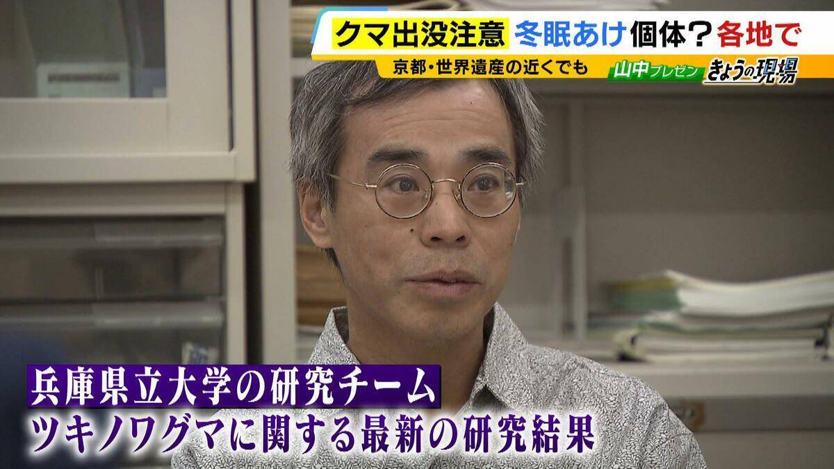 関西のクマの主食はドングリじゃない！？一部地域では秋に『液果類』を大量採食　時に襲われそうになりながら…「フン収集」調査で判明の新事実　出没予測の精度向上につながるか　これからのクマ対策は？【解説】