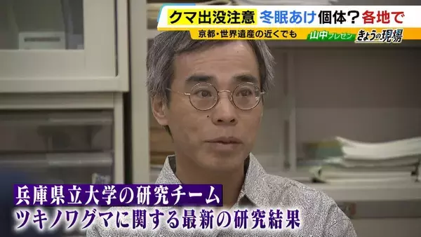 「関西のクマの主食はドングリじゃない！？一部地域では秋に『液果類』を大量採食　時に襲われそうになりながら…「フン収集」調査で判明の新事実　出没予測の精度向上につながるか　これからのクマ対策は？【解説】」の画像