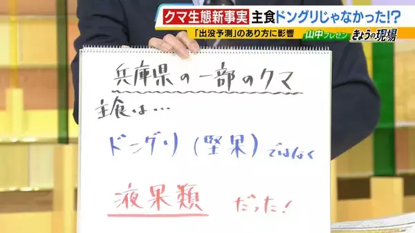 「関西のクマの主食はドングリじゃない！？一部地域では秋に『液果類』を大量採食　時に襲われそうになりながら…「フン収集」調査で判明の新事実　出没予測の精度向上につながるか　これからのクマ対策は？【解説】」の画像