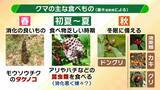 「関西のクマの主食はドングリじゃない！？一部地域では秋に『液果類』を大量採食　時に襲われそうになりながら…「フン収集」調査で判明の新事実　出没予測の精度向上につながるか　これからのクマ対策は？【解説】」の画像8