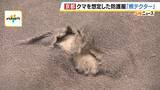 「「これを着ても戦えませんが…」クマ専用の防護服『熊テクター』とは？嚙まれても貫通しない強力素材は「軽くて着心地がいい」猟友会も評価「銃を構えやすい」」の画像7
