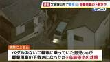 「4歳の男の子が軽乗用車の下敷きになったか…心肺停止で病院に搬送　60代の女を現行犯逮捕　大阪狭山市」の画像1