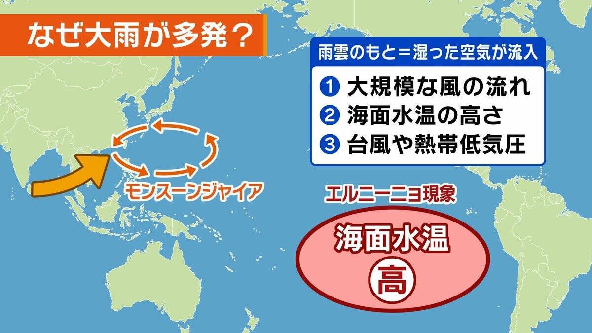 「家が浸水しても補償なし？」豪雨に備え見直したい『保険』の話…火災保険の“水災”外してない？車両保険は入ってる？3メガ損保は“3条件”に要注意【気象予報士&FP解説】