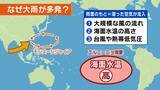 「「家が浸水しても補償なし？」豪雨に備え見直したい『保険』の話…火災保険の“水災”外してない？車両保険は入ってる？3メガ損保は“3条件”に要注意【気象予報士&FP解説】」の画像2