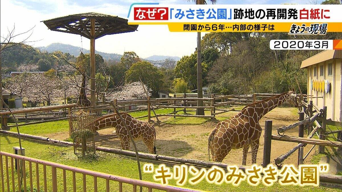 閉園から６年「みさき公園」　跡地活用で事業者と契約も一転白紙に…町と事業者の主張が対立　かつては年間９６万人来場のレジャー施設　賑わい取り戻す日はいつ？
