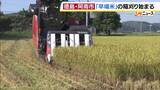 「【稲刈りはじまる】特に成長早い極早生の「ハナエチゼン」適度な雨と好天で良質な米に　お盆ごろに最盛期　徳島・阿南市」の画像1