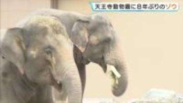 「お父さんの2倍くらい大きかった」8年ぶり！大阪にゾウがやってきた　天王寺動物園で一般公開はじまる　約45億円を投じてリニューアルのゾウ舎でお目見え