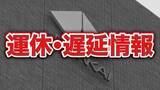 「南海線の踏切で急行電車と軽乗用車が衝突　男性2人がけが　なんば～和歌山市間などでダイヤ乱れ続く　大阪・泉佐野市【南海・運休遅延】」の画像1