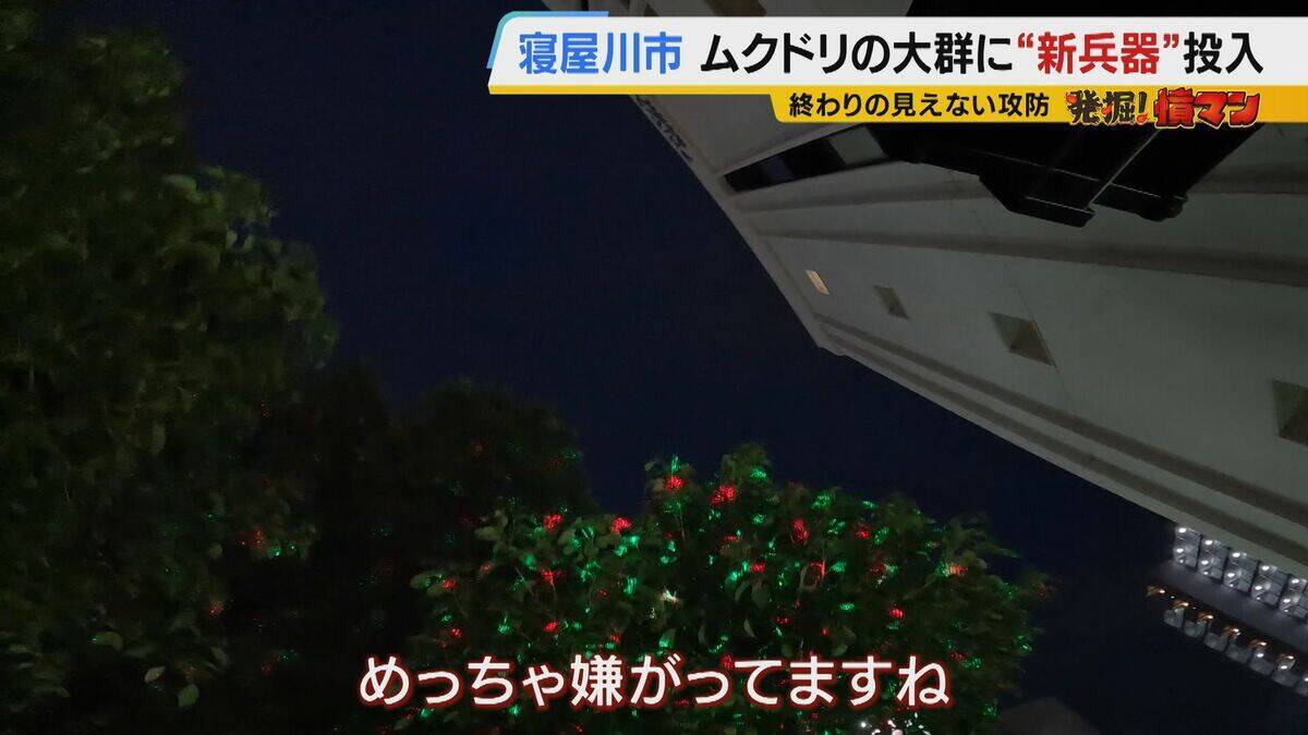 【騒音・フン害】寝屋川市駅前にムクドリの大群「フンでこの辺が真っ白」　2色のレーザー放つ“新兵器”　終わりの見えない攻防に苦悩する街を救う？