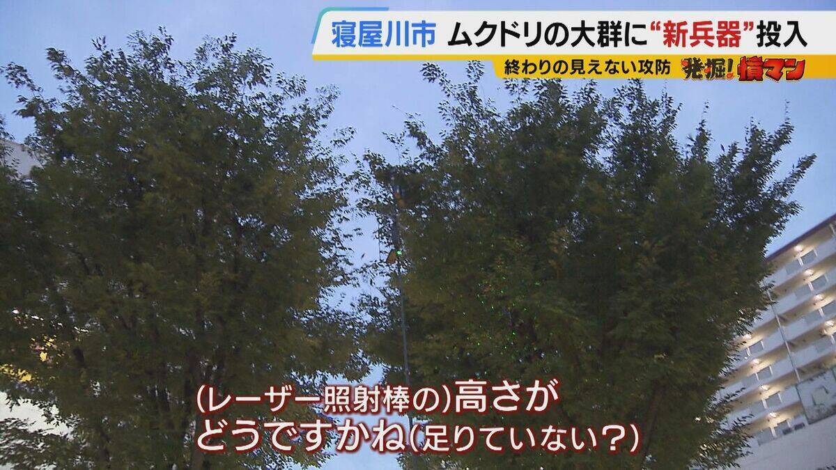 【騒音・フン害】寝屋川市駅前にムクドリの大群「フンでこの辺が真っ白」　2色のレーザー放つ“新兵器”　終わりの見えない攻防に苦悩する街を救う？