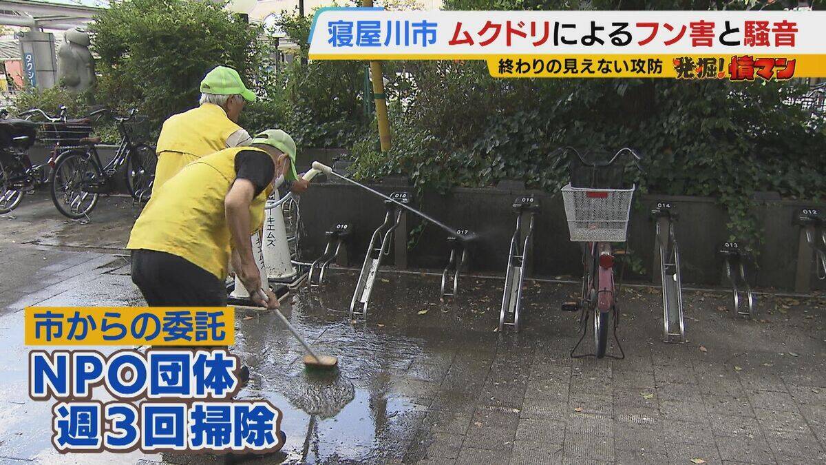 【騒音・フン害】寝屋川市駅前にムクドリの大群「フンでこの辺が真っ白」　2色のレーザー放つ“新兵器”　終わりの見えない攻防に苦悩する街を救う？