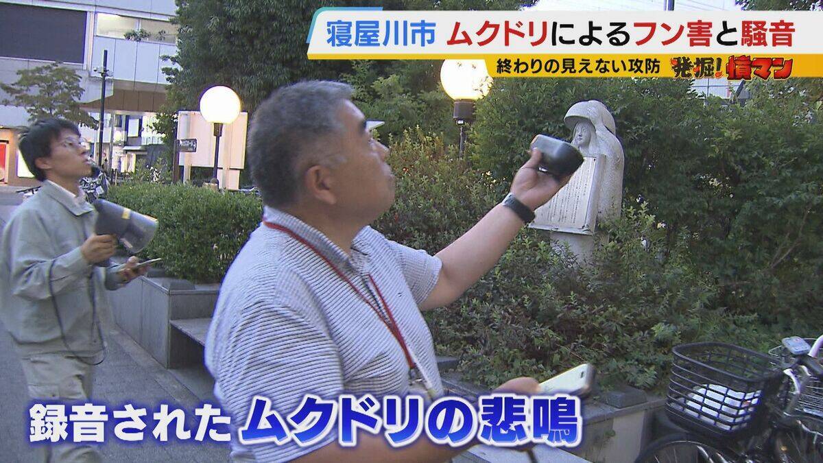 【騒音・フン害】寝屋川市駅前にムクドリの大群「フンでこの辺が真っ白」　2色のレーザー放つ“新兵器”　終わりの見えない攻防に苦悩する街を救う？