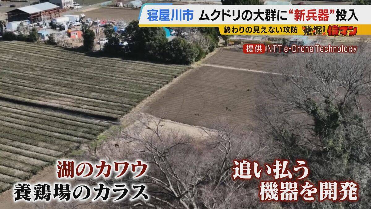 【騒音・フン害】寝屋川市駅前にムクドリの大群「フンでこの辺が真っ白」　2色のレーザー放つ“新兵器”　終わりの見えない攻防に苦悩する街を救う？