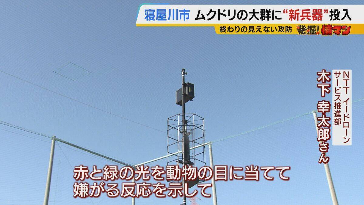 【騒音・フン害】寝屋川市駅前にムクドリの大群「フンでこの辺が真っ白」　2色のレーザー放つ“新兵器”　終わりの見えない攻防に苦悩する街を救う？