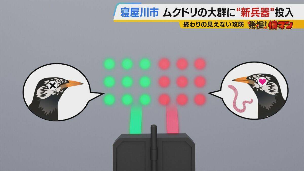 【騒音・フン害】寝屋川市駅前にムクドリの大群「フンでこの辺が真っ白」　2色のレーザー放つ“新兵器”　終わりの見えない攻防に苦悩する街を救う？