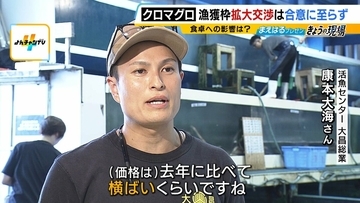 【豊漁！クロマグロ】でも獲っても海にリリース…背景に「漁獲枠」のジレンマ　枠拡大の合意寸前でメキシコが突き付けた「NO」　専門家「“政治的カード”としてマグロが使われた可能性」マグロの今後は？
