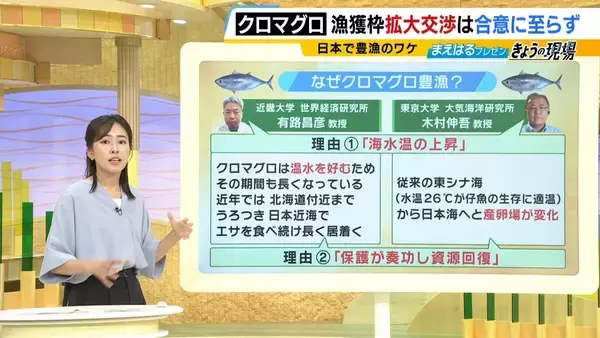 「【豊漁！クロマグロ】でも獲っても海にリリース…背景に「漁獲枠」のジレンマ　枠拡大の合意寸前でメキシコが突き付けた「NO」　専門家「“政治的カード”としてマグロが使われた可能性」マグロの今後は？」の画像