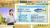 「【豊漁！クロマグロ】でも獲っても海にリリース…背景に「漁獲枠」のジレンマ　枠拡大の合意寸前でメキシコが突き付けた「NO」　専門家「“政治的カード”としてマグロが使われた可能性」マグロの今後は？」の画像3