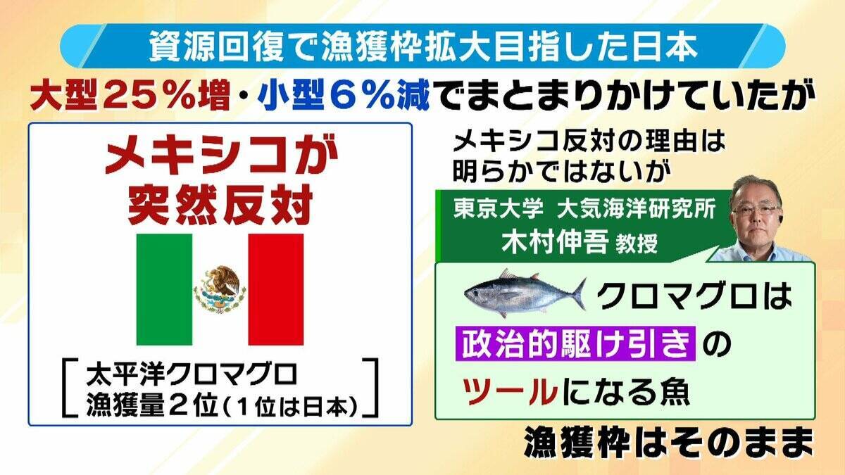 【豊漁！クロマグロ】でも獲っても海にリリース…背景に「漁獲枠」のジレンマ　枠拡大の合意寸前でメキシコが突き付けた「NO」　専門家「“政治的カード”としてマグロが使われた可能性」マグロの今後は？