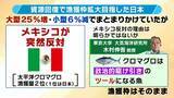 「【豊漁！クロマグロ】でも獲っても海にリリース…背景に「漁獲枠」のジレンマ　枠拡大の合意寸前でメキシコが突き付けた「NO」　専門家「“政治的カード”としてマグロが使われた可能性」マグロの今後は？」の画像4