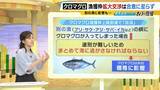 「【豊漁！クロマグロ】でも獲っても海にリリース…背景に「漁獲枠」のジレンマ　枠拡大の合意寸前でメキシコが突き付けた「NO」　専門家「“政治的カード”としてマグロが使われた可能性」マグロの今後は？」の画像6