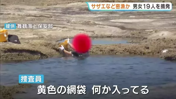 京都の海岸でサザエやアワビなど密漁か　男性が持っていた袋からは大量のサザエ　20代から70代の男女19人を摘発　舞鶴海上保安部