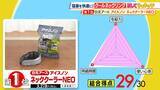 「ひたすら試してランキング『クールネックリング／冷感スプレー』きたる猛暑の心強い味方に！店頭で見かけることも増えた夏の新定番アイテム　審査員「これなしの夏が考えられなくなっちゃう」【MBSサタプラ】」の画像5